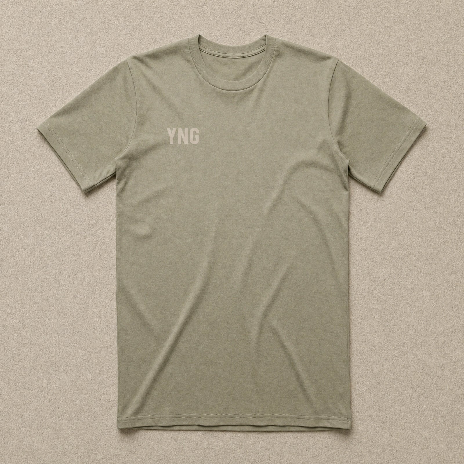I Don't Like The Government — Classic Tee