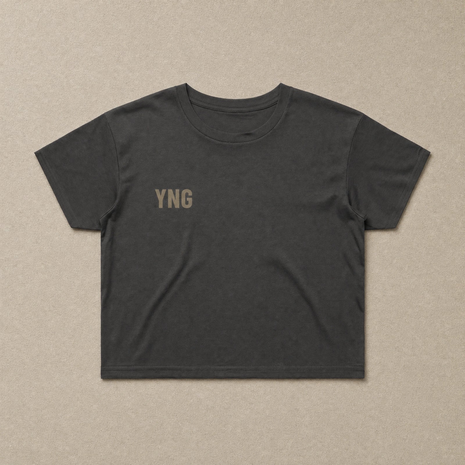 I Don't Like The Government — Womens Crop Tee
